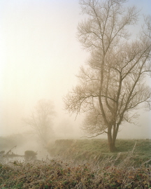 gieseler_arbres et riviere dans le brouillard_2021