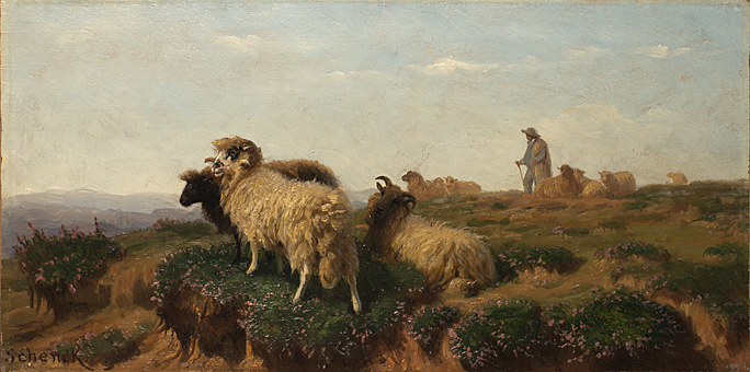 schenck-moutons et berger