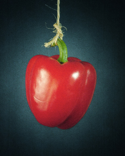 Olivier Pasquiers fruits et légumes en Camera Obscura