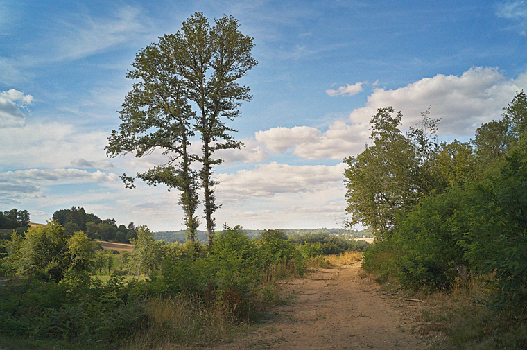 henri peyre et catherine auguste - paysage